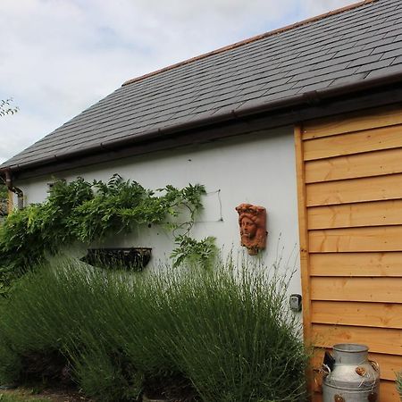 Old Stacks Cottage Annexe Ringwood Bagian luar foto